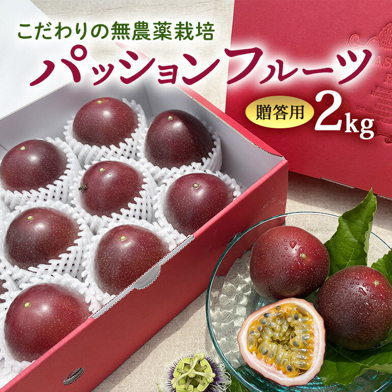 [ 先行予約 2026年 発送 ]こだわりの無農薬栽培パッションフルーツ 2kg [贈答用] 果物 フルーツ くだもの 2キロ 沖縄 果実 南国フルーツ 沖縄県産 美味しい 甘い あまい 甘み 酸味 爽やか 産地直送 農家直送 産直 ギフト 贈答品 沖縄県 糸満市 送料無料