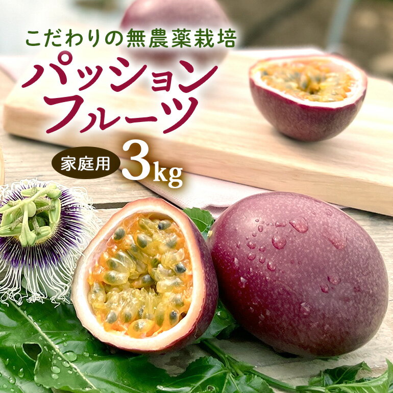 【ふるさと納税】【 先行予約 2026年 発送 】こだわりの無農薬栽培 パッションフルーツ 3kg＜ ...