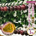 【ふるさと納税】【2024年発送】JA糸満支店で厳選した「パッションフルーツ」贈答用 約1kg