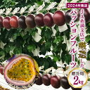 返礼品について 南国沖縄の太陽の恵みを浴びて育った、爽やかな酸味と甘味の織りなす絶妙なハーモニー。 JAおきなわ糸満支店が自信をもって選別したパッションフルーツを、ぜひご賞味ください。 ※当お礼品は「贈答用」にも適した品質を選定してお届けいたします。 沖縄県糸満市からプロが厳選したおいしいパッションフルーツをお届け！ 地元沖縄県糸満市のパッションフルーツ生産農家の皆さんが丹念に育てたパッションフルーツを旬の時期に収穫し、共選（共同選果）で選定された「安心」「安全」「新鮮」なパッションフルーツをお届けします。 パッションフルーツは花が時計のように見えることから、クダモノトケイソウと呼ばれています。 半分に切って、そのままスプーンですくってお召し上がりいただくのが主流ですが、贅沢にアイスクリームやヨーグルトにかけてお召し上がりいただくなど、お召し上がり方は無限大です！！独特の香りとさわやかな酸味が特徴で、多くの皆様に愛されています♪ 〜豊富な栄養素がうれしいパッションフルーツ〜 パッションフルーツは非常に栄養価が高く、特にカロテンが多く含まれており、風邪の予防・目の疲れ・美容に効果があるとされています。さらに、女性に欠かせない栄養素も数多く含まれています。 ＜選定風景＞ 〜食べ頃の見分け方〜 パッションフルーツは基本的に木成りで完熟したものが収穫されて流通しているので、買ってきてすぐにお召し上がりいただく事が出来ます。 酸味が強い方がお好みの方はすぐに冷蔵庫で冷やしてお召し上がりいただき、酸味が苦手な方は追熟させてお召し上がりください。追熟が進むと表面にしわが出来始め、へこんで「でこぼこ」した状態になります。これは水分が蒸発していくためで、これくらいになると酸味が抜けて甘みが強くなります。この状態で冷蔵庫に入れてよく冷やしてお召し上がりください。お好みの食べ頃パッションフルーツを見つけるのも楽しみの一つです♪ ※こちらの商品は贈り物にも最適な品質を選定してお届け致します。 たいへん美味しくいただける品質となっています。 【対応が出来ないこと】 ・お届け日（日付や曜日）のご指定はお受けできません。 ・発送の事前連絡、発送後の報告は行っておりません。 ・のし、ラッピング等のギフト（お中元）対応は行っておりません。 【お届けに関して】 ・不在日や受取不可日、住所変更がある場合、お申し込み時に備考欄のメッセージにご入力ください。 ※寄附者様の都合によりお受取頂けなかった場合の再発送は致しかねます。 ・お申込み後に不在日や受取不可日、住所変更が発生した場合、改めてご連絡をお願いします。 ※尚、ご連絡が出荷時期に差し掛かっていた場合、内容によっては対応が出来ない場合があります。 ・当返礼品は「2024年（令和6年）」発送の返礼品です。 ※各種イベントや災害等により、配送に影響が出る可能性がございます。 ・発送期日は例年の発送状況を目安に設定しております。 ※天候や収穫状況によってはお届け時期が前後する事があります。 ・複数口を申し込みの場合、まとめての発送や時期をずらしての発送は収穫時期や天候等によって対応できない場合がございます。 ・台風など天候や収穫状況によって発送できない場合、来シーズンの発送や同寄附金額の別返礼品に変更など対応策についてのご連絡を原則、電子メールにてさせていただきます。 【その他 注意事項】 ・商品到着後すぐ、現物の確認をお願いいたします。万が一、不具合があった場合は到着日を含め3日以内に画像と合わせてメールにてご連絡をお願いいたします。お時間が過ぎてからの対応は致しかねます。 ・お申込上限数に達した場合は、予告なく受付を締切らせていただきます。 ・掲載画像はイメージです。 ・申込みのキャンセル及び寄附金の返金はできませんので、ご理解の上寄附下さい。 ・発送後のお届け先変更は寄付者様での対応となります。また、配送会社から着払いで別途料金が発生いたしますのでご注意ください。 返礼品の内容 名称 【2024年発送】JA糸満支店で厳選した「パッションフルーツ」贈答用　約2kg 内容量 パッションフルーツ贈答用 約1kg（8〜14個）×2箱※個数の指定はできません。 申込み時期 発送方法 常温 賞味期限 青果物ですので早めにお召し上がり下さい。 提供元 JAおきなわ　ファーマーズマーケットいとまん　うまんちゅ市場 ・寄附申込みのキャンセル、返礼品の変更・返品はできません。あらかじめご了承ください。 ・ふるさと納税よくある質問はこちら