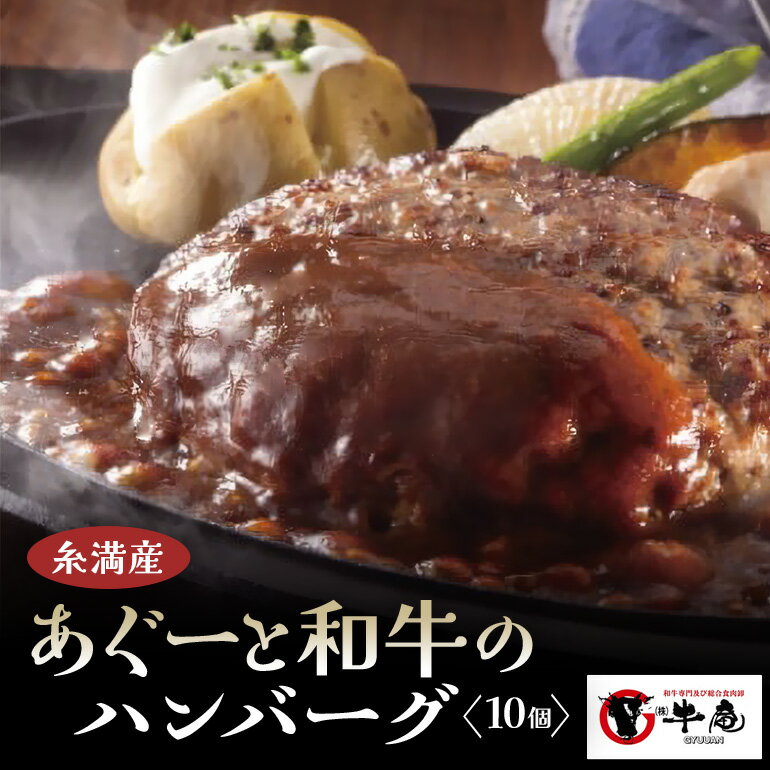 8位! 口コミ数「1件」評価「5」和牛 × 豚肉 入りハンバーグ 10個入り 糸満産 牛肉 アグー豚入り ハンバーグ 幻の豚 冷凍 小分け 120g ×10個 真空パック 大･･･ 