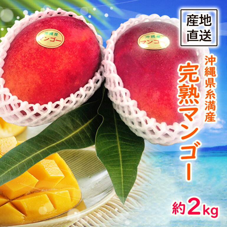 【2024年発送】沖縄県糸満産 完熟マンゴー約2kg