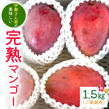 【2024年発送】伊敷さん家の美味しい完熟マンゴー1.5kg(ご家庭用)