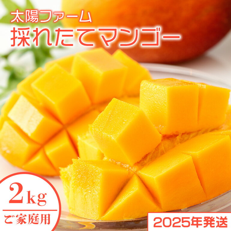 【ふるさと納税】【2024年発送】農家直送!太陽ファームのマンゴー2kg(ご家庭用)のサムネイル