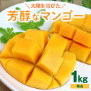 1位! 口コミ数「0件」評価「0」【2024年発送】沖縄の太陽を浴びた芳醇なマンゴー 1kg(秀品)