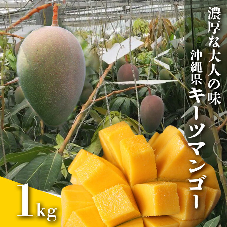 【ふるさと納税】【2024年発送】濃厚な大人の味 沖縄県「キーツマンゴー」1kg