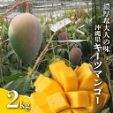 濃厚な大人の味 沖縄県「キーツマンゴー」2kg