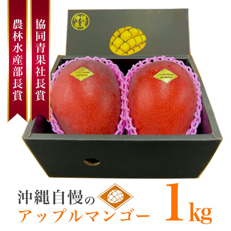 [先行予約 2026年 発送]山城マンゴー屋 沖縄県産 マンゴー 1kg アップルマンゴー アーウィンマンゴー 受賞多数 国産 完熟マンゴー 果物 くだもの フルーツ 完熟 夏 旬 特産品 沖縄 お取り寄せ 名産品 甘い 濃厚 産地直送 農家直送 沖縄県 糸満市 送料無料