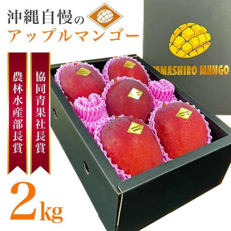 [ 先行予約 2026年 発送 ] 受賞多数!!山城マンゴー屋の 沖縄県産 マンゴー 2kg アップルマンゴー アーウィンマンゴー 2キロ 国産 完熟マンゴー 果物 南国 くだもの フルーツ 完熟 夏 旬 沖縄 お取り寄せ 産地直送 農家直送 甘い 濃厚 糸満市 送料無料