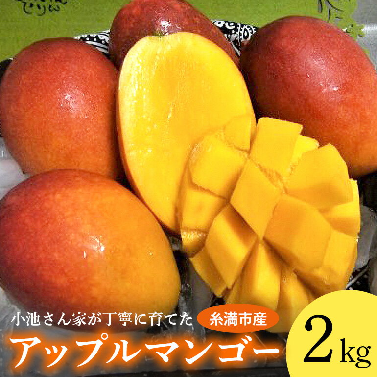 返礼品について 沖縄の太陽とミネラルたっぷりの潮風を浴びて丸々と太ったマンゴーを沖縄の最南端、糸満市で作っております。 自慢の糖度14度以上のマンゴー！！ 一玉一玉丁寧に育てたマンゴーは濃厚な甘みとジューシーさが特徴です。 『良いマンゴーは丈夫な樹から』をモットーに肥培管理にこだわり丸々太った、糖度14度以上のマンゴーを作ってます。 収穫前には傷がつかないように一玉ずつ丁寧に袋かけをしています。 マンゴーは果実にテカリが出て、香りがプンプンしてくると食べごろの合図です。 夏場の収穫時期に向けて、1年中真心込めて作る自慢のマンゴーです。 是非ご自分へのご褒美や大切な方への贈り物に宜しくお願い致します。 【対応が出来ないこと】 ・お届け日（日付や曜日）のご指定はお受けできません。 ・発送の事前連絡、発送後の報告は行っておりません。 ・のし、ラッピング等のギフト（お中元）対応は行っておりません。 【お届けに関して】 ・不在日や受取不可日、住所変更がある場合、お申し込み時に備考欄のメッセージにご入力ください。 ※寄附者様の都合によりお受取頂けなかった場合の再発送は致しかねます。 ・お申込み後に不在日や受取不可日、住所変更が発生した場合、改めてご連絡をお願いします。 ※尚、ご連絡が出荷時期に差し掛かっていた場合、内容によっては対応が出来ない場合があります。 ・当返礼品は「2024年（令和6年）」発送の返礼品です。 ※各種イベントや災害等により、配送に影響が出る可能性がございます。 ・発送期日は例年の発送状況を目安に設定しております。 ※天候や収穫状況によってはお届け時期が前後する事があります。 ・複数口を申し込みの場合、まとめての発送や時期をずらしての発送は収穫時期や天候等によって対応できない場合がございます。 ・台風など天候や収穫状況によって発送できない場合、来シーズンの発送や同寄附金額の別返礼品に変更など対応策についてのご連絡を原則、電子メールにてさせていただきます。 【その他 注意事項】 ・商品到着後すぐ、現物の確認をお願いいたします。万が一、不具合があった場合は到着日を含め3日以内に画像と合わせてメールにてご連絡をお願いいたします。お時間が過ぎてからの対応は致しかねます。 ・お申込上限数に達した場合は、予告なく受付を締切らせていただきます。 ・掲載画像はイメージです。 ・申込みのキャンセル及び寄附金の返金はできませんので、ご理解の上寄附下さい。 ・発送後のお届け先変更は寄付者様での対応となります。また、配送会社から着払いで別途料金が発生いたしますのでご注意ください。 返礼品の内容 名称 【2024年発送】小池さん家が丁寧に育てたアップルマンゴー2kg 内容量 アップルマンゴー　2kg（4玉〜6玉）※玉数の指定はできません。JA規格で優〜良 申込み時期 発送方法 冷蔵 賞味期限 青果物ですので、できるだけ早くお召し上がりください。 提供元 熱帯果樹園　小池さん家 ・寄附申込みのキャンセル、返礼品の変更・返品はできません。あらかじめご了承ください。 ・ふるさと納税よくある質問はこちら