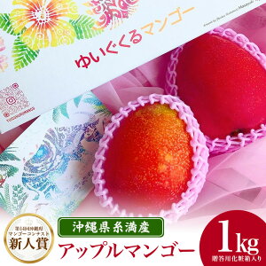 【ふるさと納税】【2024年発送】沖縄県糸満産の「濃厚アップルマンゴー」1kg オリジナル贈答用化粧箱入り 生産者:ゆいぐくるマンゴー