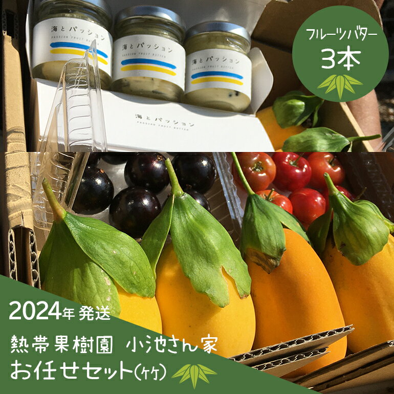 20位! 口コミ数「1件」評価「1」【2024年発送】熱帯果樹園小池さん家 お任せセット(竹)