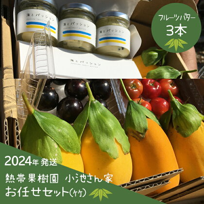 【2024年発送】熱帯果樹園小池さん家 お任せセット(竹)