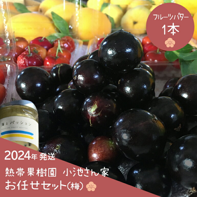 8位! 口コミ数「3件」評価「2.33」【2024年発送】熱帯果樹園小池さん家 お任せセット(梅)