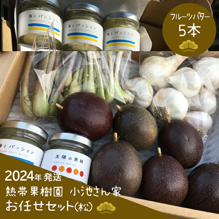 6位! 口コミ数「1件」評価「5」【2024年発送】熱帯果樹園小池さん家 お任せセット(松)