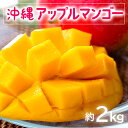 【ふるさと納税】【 先行予約 2025年 発送 】 お手頃 「沖縄 アップルマンゴー 」 2kg 沖縄県産 マンゴー アーウィンマンゴー 2キロ 国産 完熟マン...