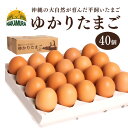 4位! 口コミ数「1件」評価「1」黄身がプリッ!沖縄の大自然が育んだ平飼い卵【ゆかりたまご】