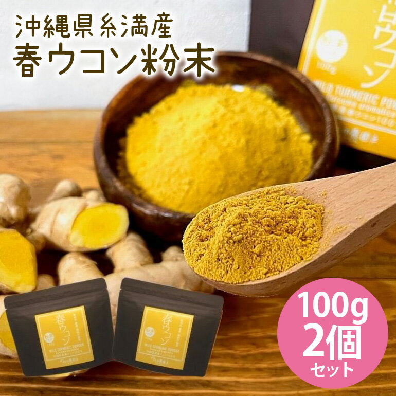 17位! 口コミ数「0件」評価「0」沖縄県糸満産 春ウコン粉末100g 2個セット