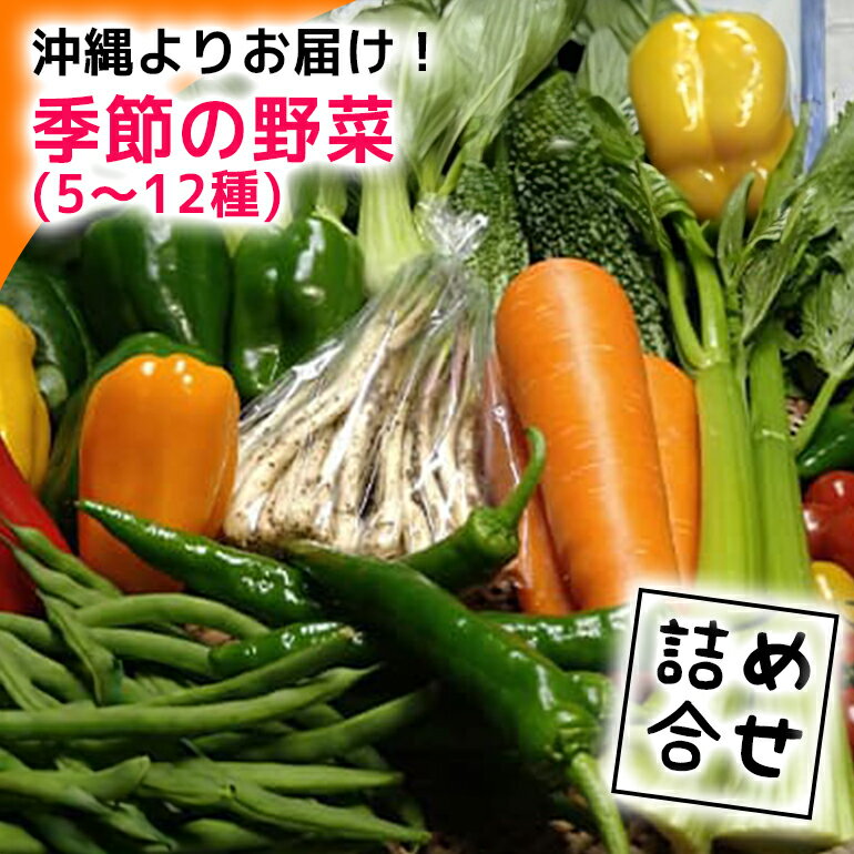 【ふるさと納税】【2024年発送】沖縄よりお届け!季節の野菜詰め合わせ(5～12種類)