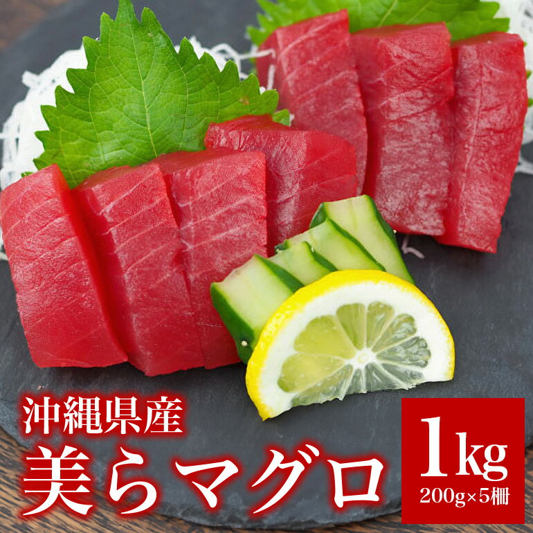 【ふるさと納税】まぐろ 1kg (200g ×5柵)美らマグロ 旬 鮪 鮮度抜群 メバチマグロ キハダマグロ 魚種 おまかせ 柵 赤身 高たんぱく 低カロリー 真空 冷凍 刺身 家庭用 小分け 沖縄 糸満市 29000円