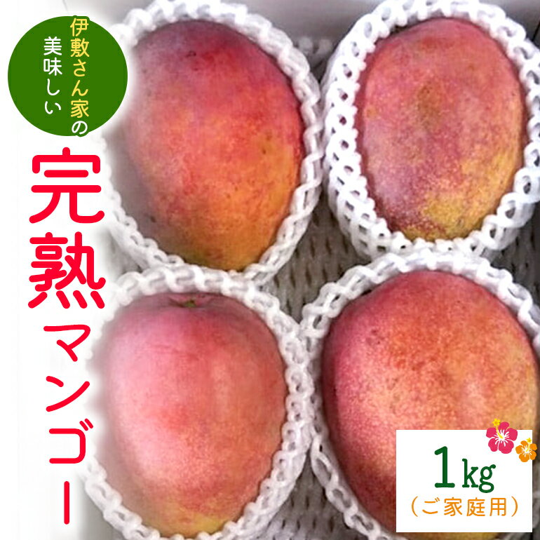 【2024年発送】伊敷さん家の美味しい完熟マンゴー1kg(ご家庭用)