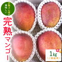 【ふるさと納税】【 先行予約 2025年 発送 】 伊敷さん家の美味しい 完熟マンゴー 1kg ( ご家庭用 ) 沖縄県産 マンゴー アップルマンゴー アーウィ...