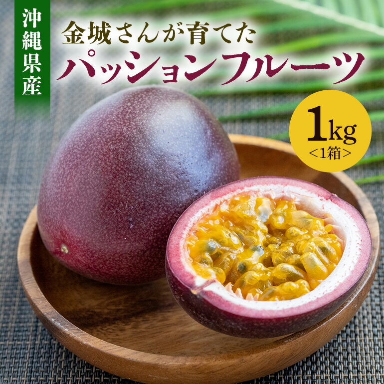 [2024年発送]金城さんが育てた 沖縄県産パッションフルーツ 1kg