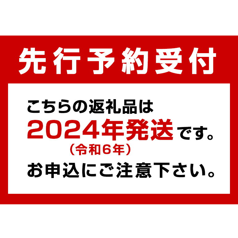 【ふるさと納税】2024年発送『おもろ農園の完熟マンゴー』家庭用約1kg