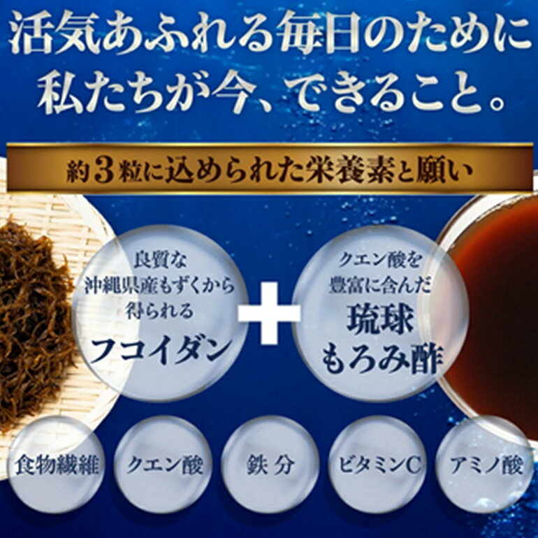 【ふるさと納税】【金秀バイオ】琉球 フコイダン プラス 90粒 3袋セット 90日分 (約 3ヶ月 分) サプリ サプリメント 鉄分 ビタミン ビタミンC 食物繊維 クエン酸 アミノ酸 沖縄 もずく 海藻 もろみ酢 健康食品 生活習慣病 予防 免疫力 健康 対策 食品 沖縄県 糸満市 送料無料