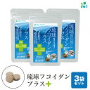 【ふるさと納税】【金秀バイオ】琉球 フコイダン プラス 90粒 3袋セット 90日分 (約 3ヶ月 分) サプリ サプリメント 鉄分 ビタミン ビタミンC 食物...