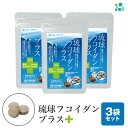 13位! 口コミ数「0件」評価「0」【金秀バイオ】琉球フコイダンプラス90粒 3袋セット 90日分(約3ヶ月分)