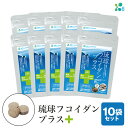 【ふるさと納税】【金秀バイオ】琉球 フコイダンプラス 90粒 10袋 セット 300日分 (約 10ヶ月 分) サプリ サプリメント 鉄分 ビタミン ビタミンC...