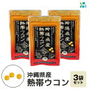 【ふるさと納税】【金秀バイオ】沖縄県産 熱帯 ウコン 90粒 3袋 セット 90日 分 (約 3ヶ月 分) サプリ サプリメント 熱帯ウコン 春ウコン 紫ウコン...