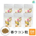 【ふるさと納税】【金秀バイオ】春ウコン 粒 900粒 6袋 セット 180日 分(約 6ヶ月 分) サプリ サプリメント 沖縄県産 春ウコン 100% 栽培期間...