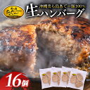 11位! 口コミ数「4件」評価「5」美ら島あぐー ハンバーグ 16個 セット 沖縄県 おかず 惣菜 アグー豚 使用 冷凍 ( 4個 ×4パック)小分け 簡易包装 お手軽 簡単調･･･ 