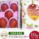 9位! 口コミ数「0件」評価「0」【2024年発送】沖縄県糸満産の「濃厚アップルマンゴー」10kg!(1kg×10箱)生産者:ゆいぐくるマンゴー