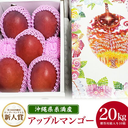 【2024年発送】沖縄県糸満産の「濃厚アップルマンゴー」20kg!(2kg×10箱)生産者:ゆいぐくるマンゴー