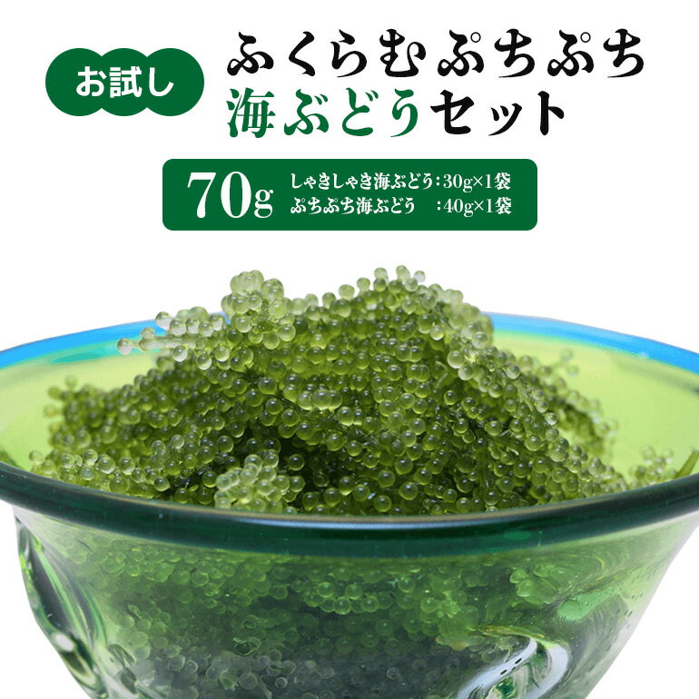 [お試し]ふくらむぷちぷち海ぶどうセット 塩水タイプ 70g