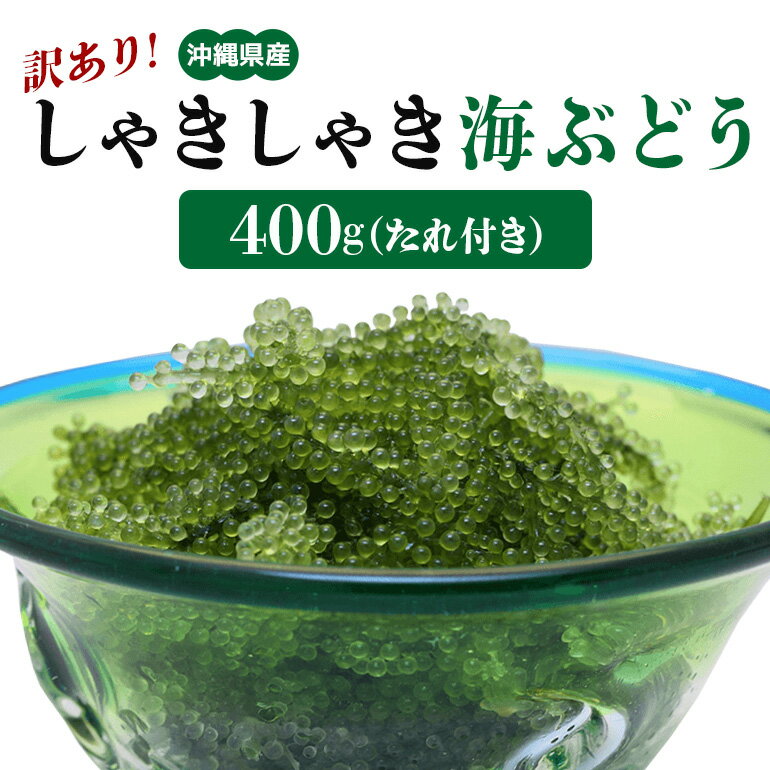 【訳あり】しゃきしゃき海ぶどう400g