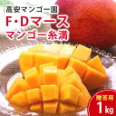 【ふるさと納税】【 先行予約 2026年 発送 】 高安マンゴー園 贈答用 F・Dマースマンゴー糸満 1kg (2〜3玉) 沖縄県産 マンゴー アップルマンゴー...