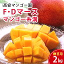 【ふるさと納税】【 先行予約 2026年 発送 】 高安マンゴー園 贈答用 F・Dマースマンゴー糸満 2kg (3〜6玉) 沖縄県産 マンゴー アップルマンゴー...