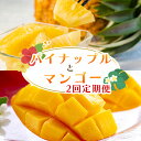 【ふるさと納税】 フルーツ定期便 2回【定期便全2回】フルーツ定期便 2回 パイナップル Nパイン マンゴー 沖縄 夏 フルーツ 甘味 美味しい 定期便 先行予約
