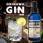 ڤդ뤵Ǽǡۥʥ  700ml 1 GIN ޤҤ¤ եȥ  ˢ   ϼ ԥå   Ȱ  Ȱ  ͵  