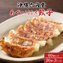 【ふるさと納税】あぐー 100% 餃子 60個 ( 20個 × 3パック ) セット あぐー豚 アグー豚 アグー 豚肉 沖縄県産 豚 ぎょうざ ギョウザ 冷凍餃...