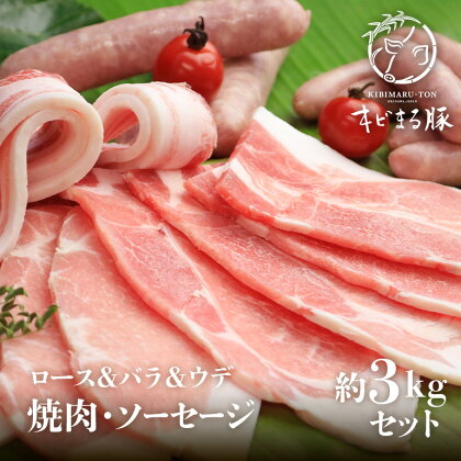 キビまる豚【ロース&バラ&ウデ】焼肉・ソーセージ 約3kgセット BBQ バーベキュー 食品 加工食品 肉 精肉 豚肉 ブランド豚 ロース バラ ウデ ウィンナー ソーセージ 焼肉 冷凍 ギフト 贈り物 沖縄 糸満市 30000円