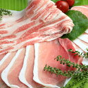 【ふるさと納税】【沖縄県ブランド豚】『キビまる豚』豚肉の詰め合わせ5種セット1kg(小分け) 2