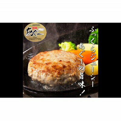【ふるさと納税】お肉屋本店沖縄県産あぐー豚三昧セット800g(ハンバーグ、ロース、バラ)