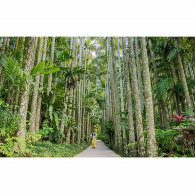 【ふるさと納税】沖縄県観光スポット「東南植物楽園」年間グリーンパスポート＜大人＞