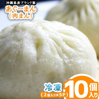 10位! 口コミ数「0件」評価「0」沖縄県産ブランド豚　あぐーまん（肉まん）　10個入り（2個入り×5P）冷凍【 食品 加工食品 手作り 中華まん 点心 飲茶 まんじゅう にく･･･ 