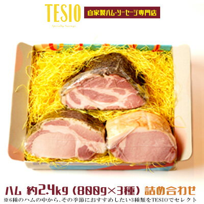 【ふるさと納税】自家製ハム・ソーセージ専門店「TESIO」ハム 約2.4kg（800g×3種）詰め合わせ【 牛肉 豚肉 自家製 ドイツ製法 スモークド・ハム ホワイトハム ローストポーク ケイジャン プロヴァンス ペッパーポーク ベーコン 贈答用 ギフト セット 冷蔵 】